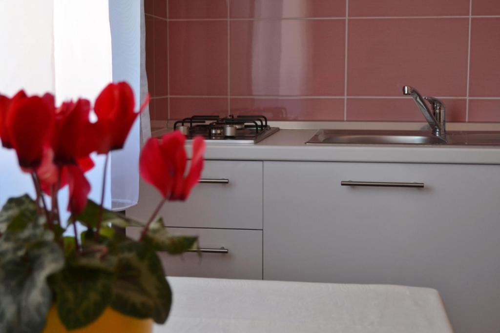 Apartments Vitez Zára Szoba fotó